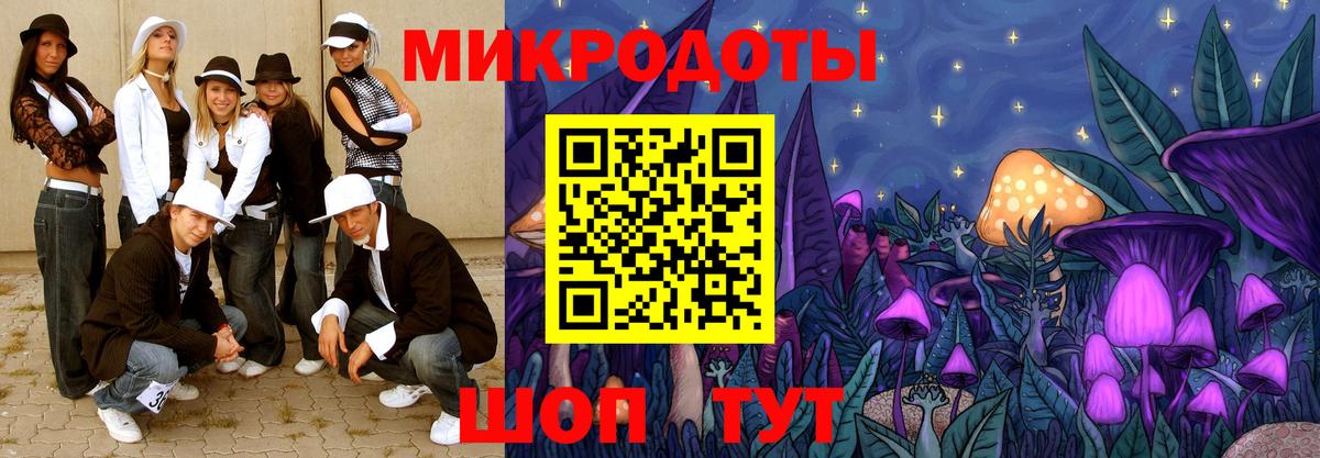 Галлюциногенные грибы Cubensis Сочи